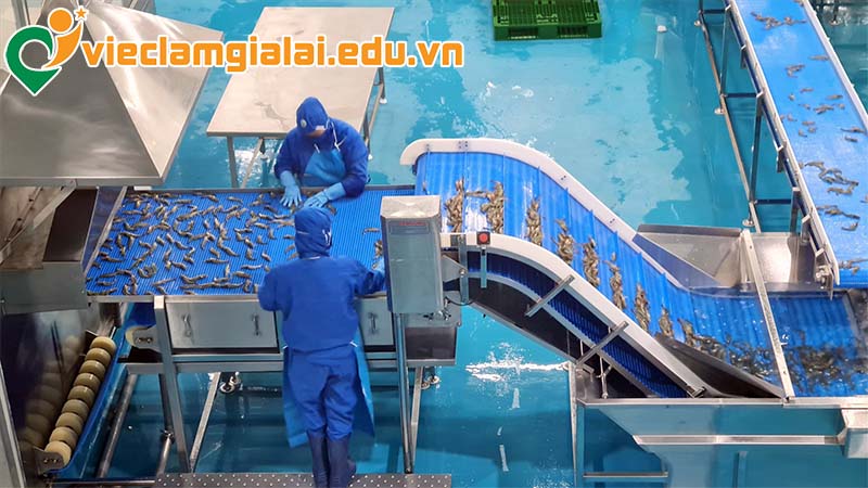 thu-nhap-va-phat-trien-thuy-san-gia-lai