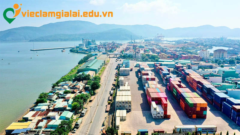 tong-quan-nganh-xuat-nhap-khau-gia-lai