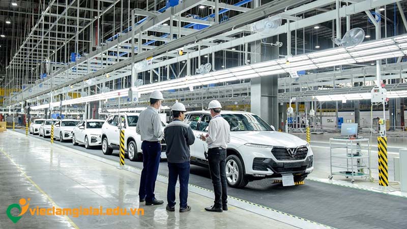 Bức tranh vận h&agrave;nh của ng&agrave;nh việc l&agrave;m &ocirc; t&ocirc; Gia Lai
