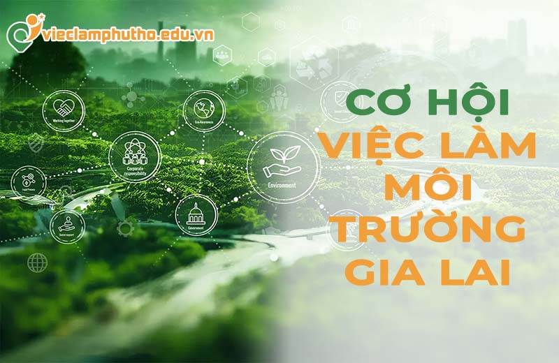 Cơ hội việc làm môi trường Gia Lai
