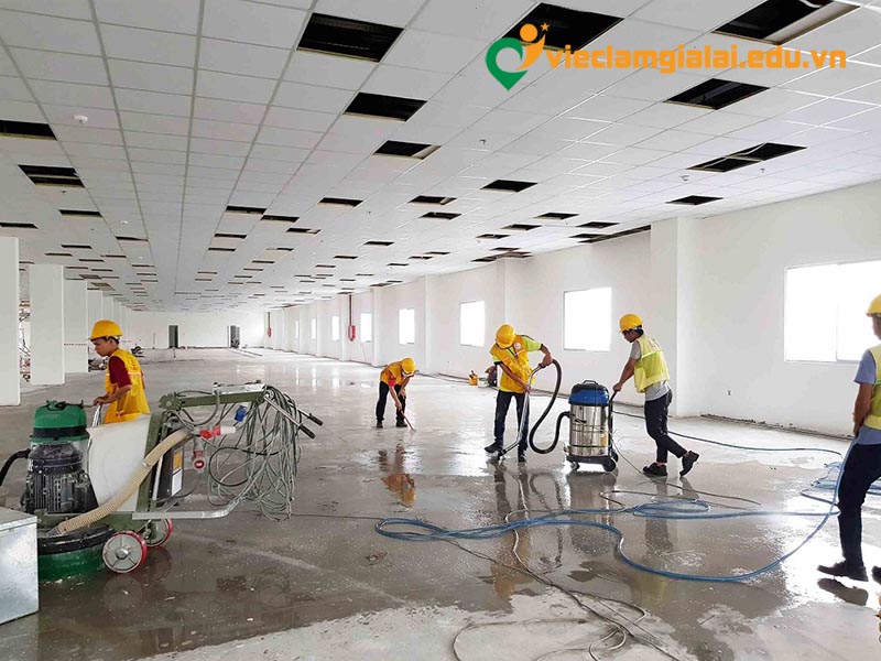 Ph&acirc;n t&iacute;ch thị trường dịch vụ việc l&agrave;m vệ sinh c&ocirc;ng nghiệp Gia Lai