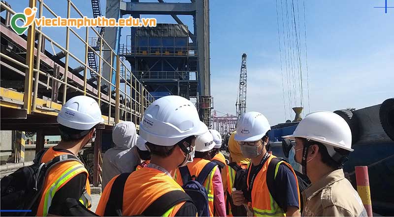 Theo dõi việc làm môi trường Gia Lai ở đâu?