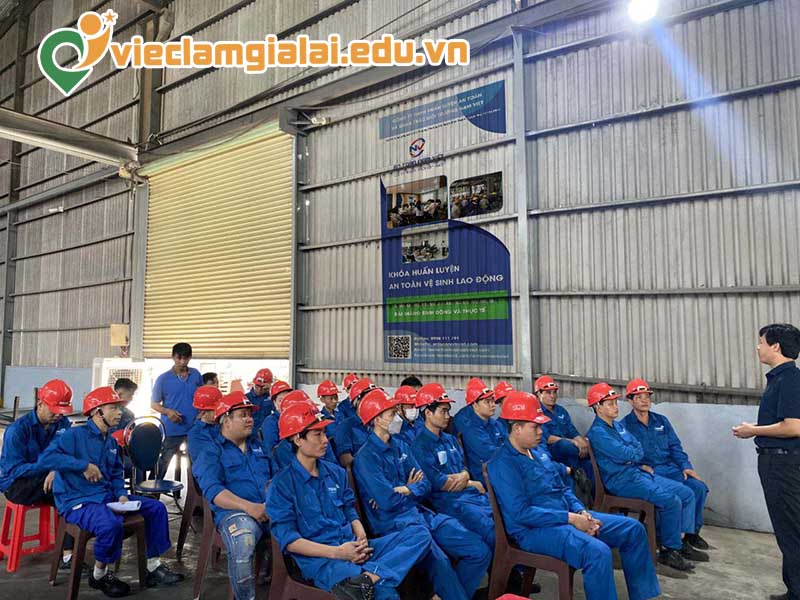 Các vị trí việc làm an toàn lao động Gia Lai