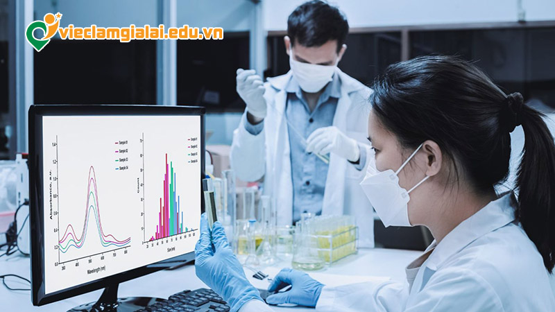 Các vị trí việc làm công nghệ sinh học Gia Lai tuyển dụng nhiều nhất hiện nay