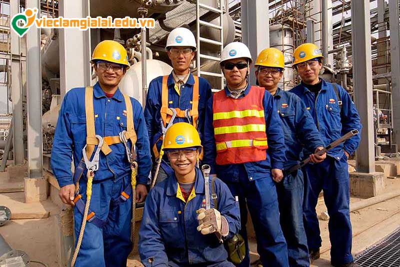 Nhu cầu tuyển dụng an toàn lao động Gia Lai theo ngành