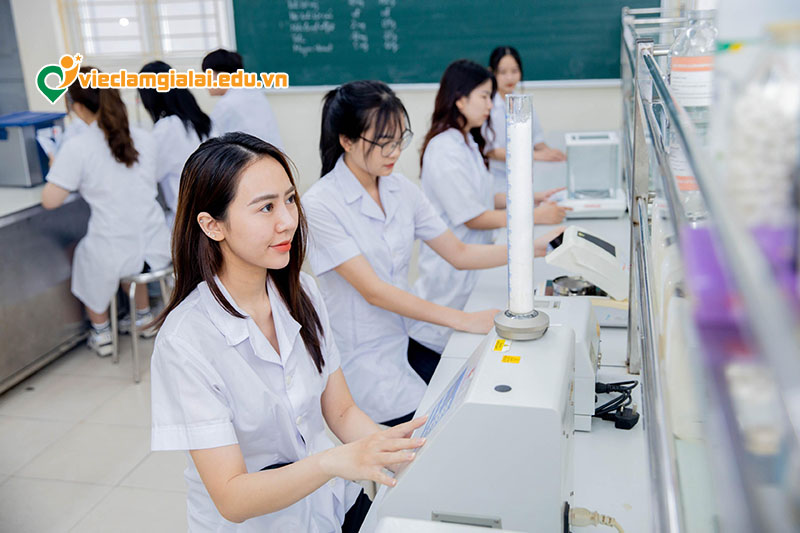 Thị trường tuyển dụng công nghệ sinh học Gia Lai