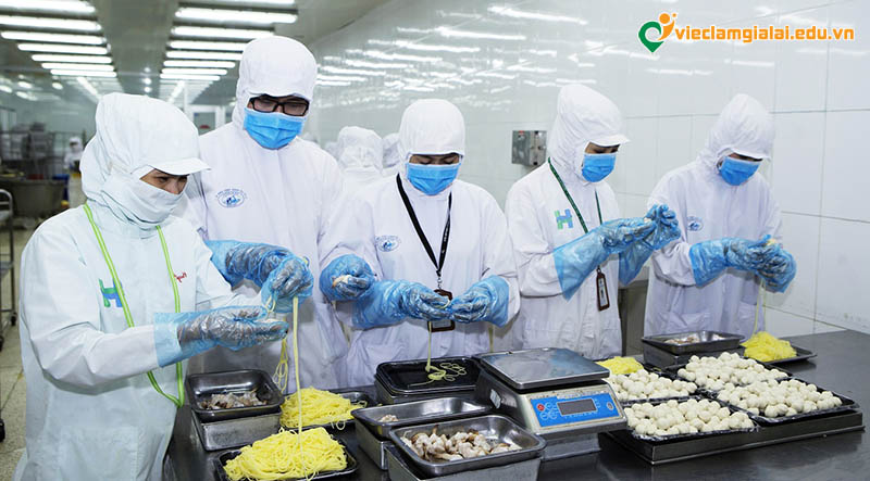 Tìm việc làm công nghệ thực phẩm Gia Lai uy tín