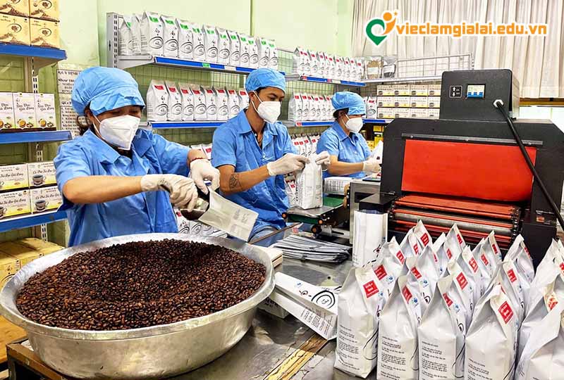 Tuyển dụng công nghệ thực phẩm Gia Lai