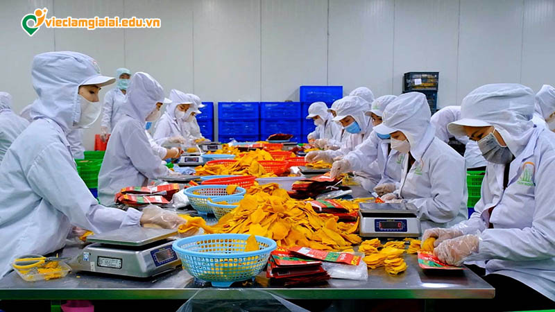 Việc làm công nghệ thực phẩm Gia Lai