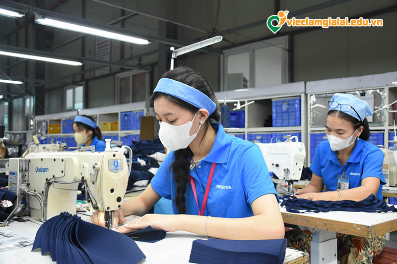 Việc làm công nhân Gia Lai