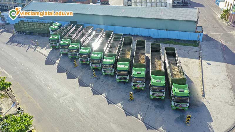 Việc làm lái xe tại Gia Lai