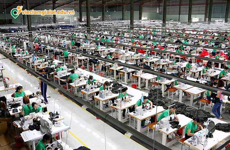 Nhu cầu việc làm lao động phổ thông tại Gia Lai