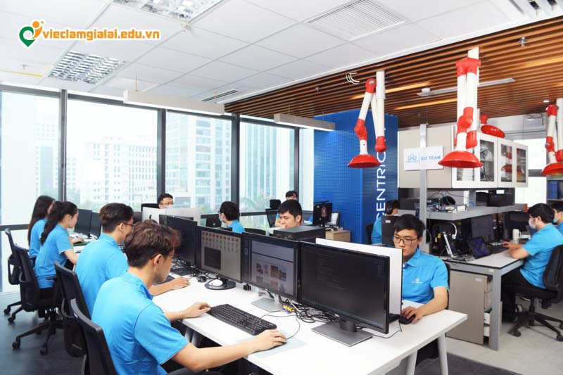 Tuyển dụng thiết kế đồ họa Gia Lai