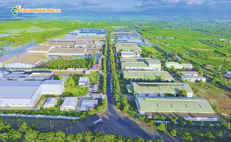 Việc làm lao động phổ thông Gia Lai