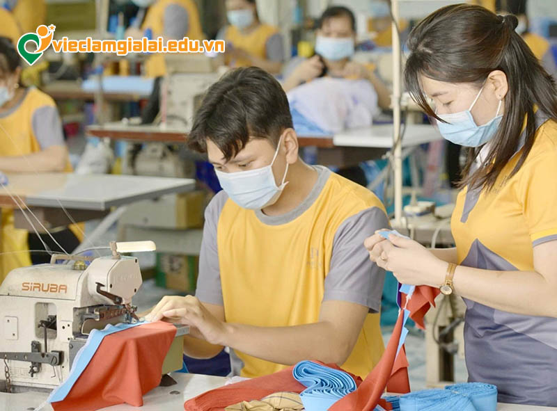 Kỹ năng cần có trong ngành may mặc tại Gia Lai