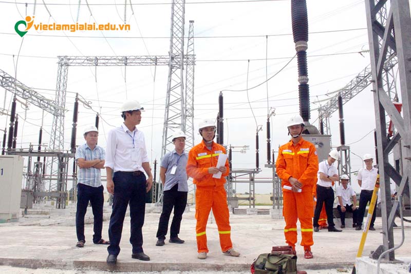 Tổng quan thị trường việc làm điện Gia Lai