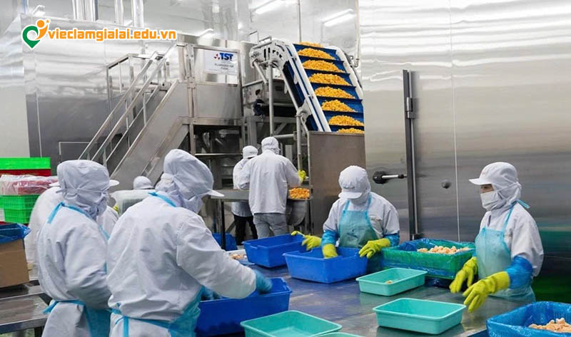 Tổng quan thị trường việc làm quản lý chất lượng (QA/QC) tại Gia Lai