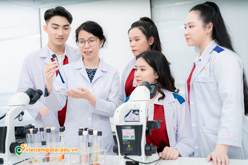 Tuyển dụng kỹ thuật viên xét nghiệm y học tại Gia Lai