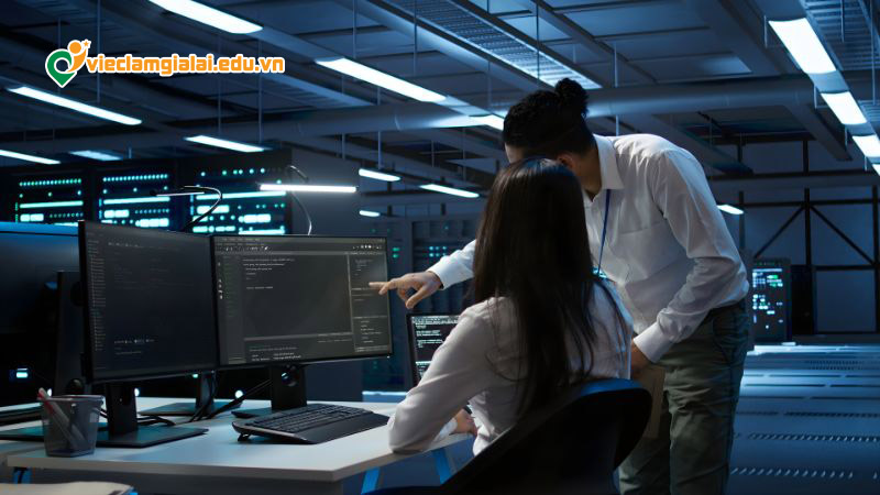 Tuyển dụng lập trình viên Web/App tại Gia Lai