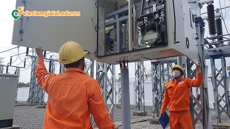 Tổng quan thị trường việc làm điện Gia Lai