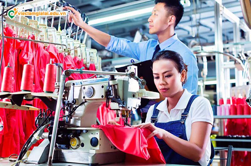 Tuyển dụng nhân viên kiểm soát chất lượng tại Gia Lai