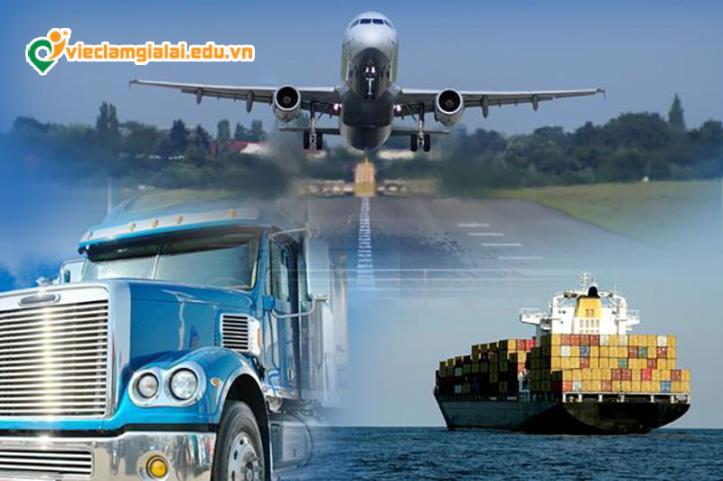 Việc làm Kho vận/ Vật tư/ Thu mua Gia Lai