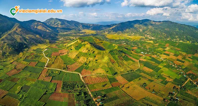 Việc làm nông nghiệp tại Gia Lai