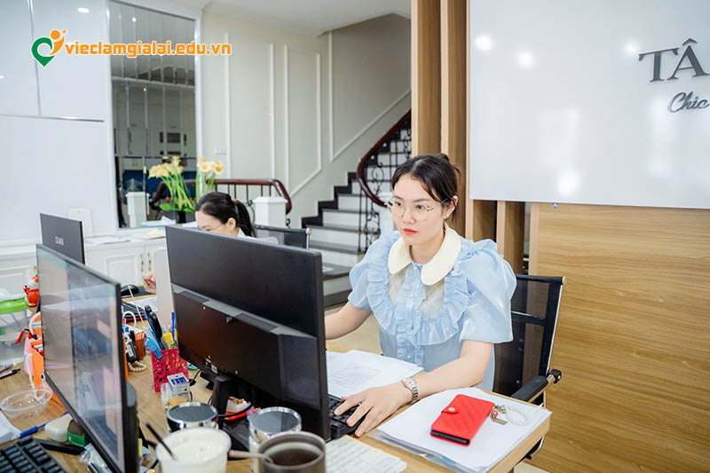 Yêu cầu của nhà tuyển dụng đối với việc làm kế toán Gia Lai hiện nay