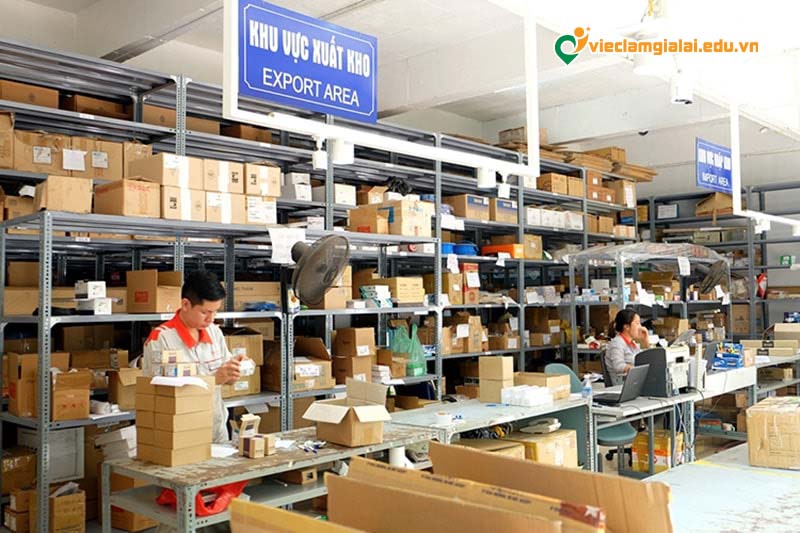 Yêu cầu và kỹ năng cần thiết để ứng tuyển thành công